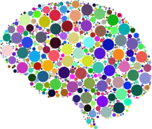 Illustration des menschlichen Gehirns